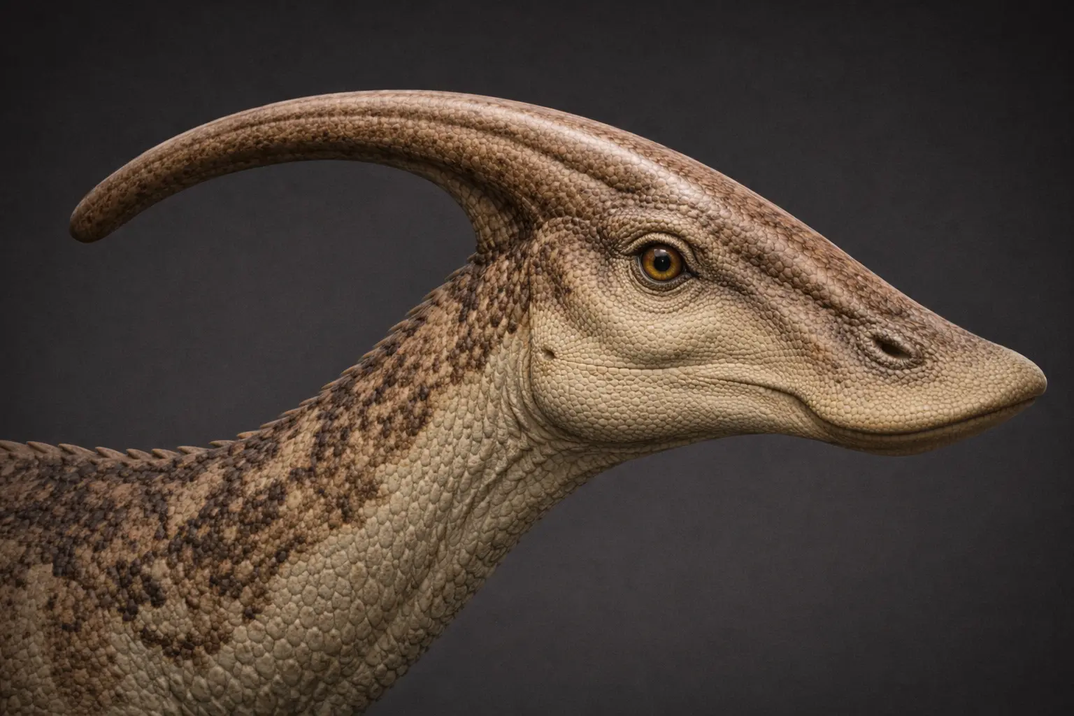 Photorealistic anatomical illustration of Parasaurolophus walkeri showing elongated tubular cranial crest and broad spatulate bill in three-quarter profile on a dark neutral background