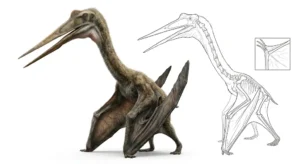 Scientific taxonomy illustration of Quetzalcoatlus northropi showing photorealistic reconstruction alongside skeletal comparison highlighting azhdarchid classification traits