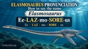 Elasmosaurus pronunciation guide showing “Ee-LAZ-mo-SORE-us,” with LAZ and SORE highlighted in gold, above an underwater illustration of the long-necked marine reptile.