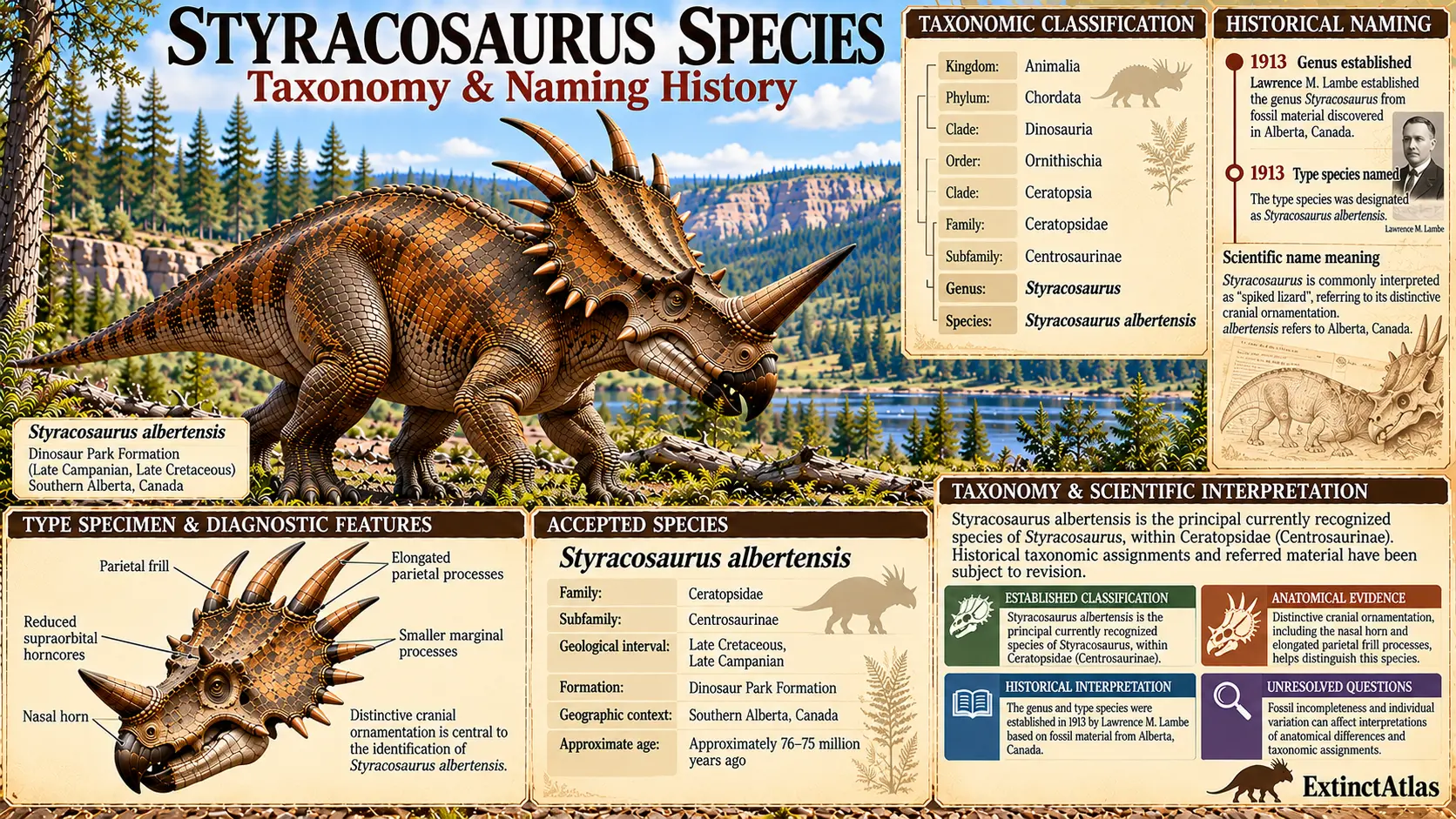 Styracosaurus albertensis taxonomy and naming history infographic showing scientific classification, 1913 discovery and naming, diagnostic skull anatomy, and accepted species status.